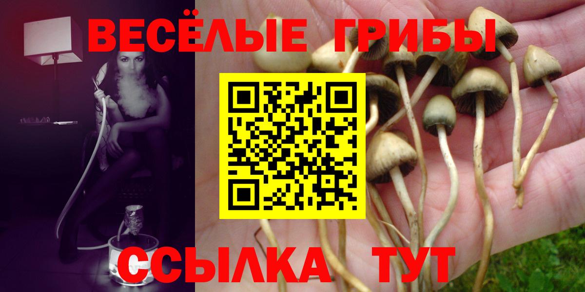 Ростов Великий  Псилоцибиновые грибы MAGIC MUSHROOMS  Вход с VPN  Псилоцибиновые грибы Cubensis 